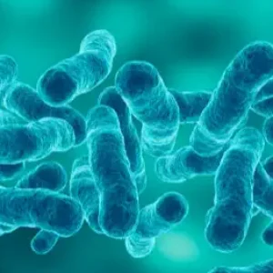 Les meilleurs probiotiques