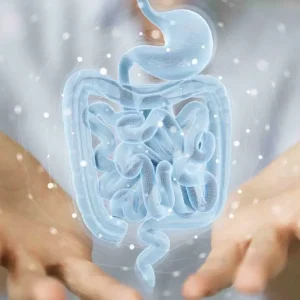 La porosité intestinale